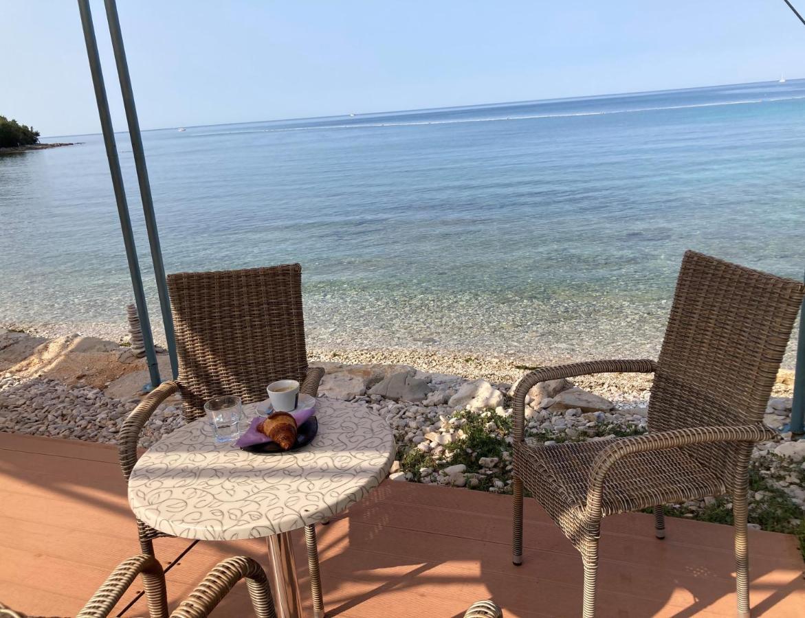 Ferienwohnung Sommer Novigrad  ภายนอก รูปภาพ