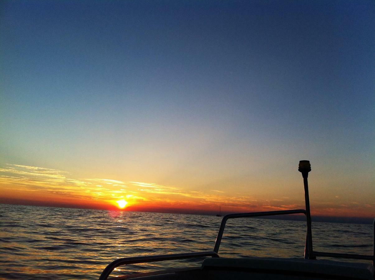 Ferienwohnung Sommer Novigrad  ภายนอก รูปภาพ